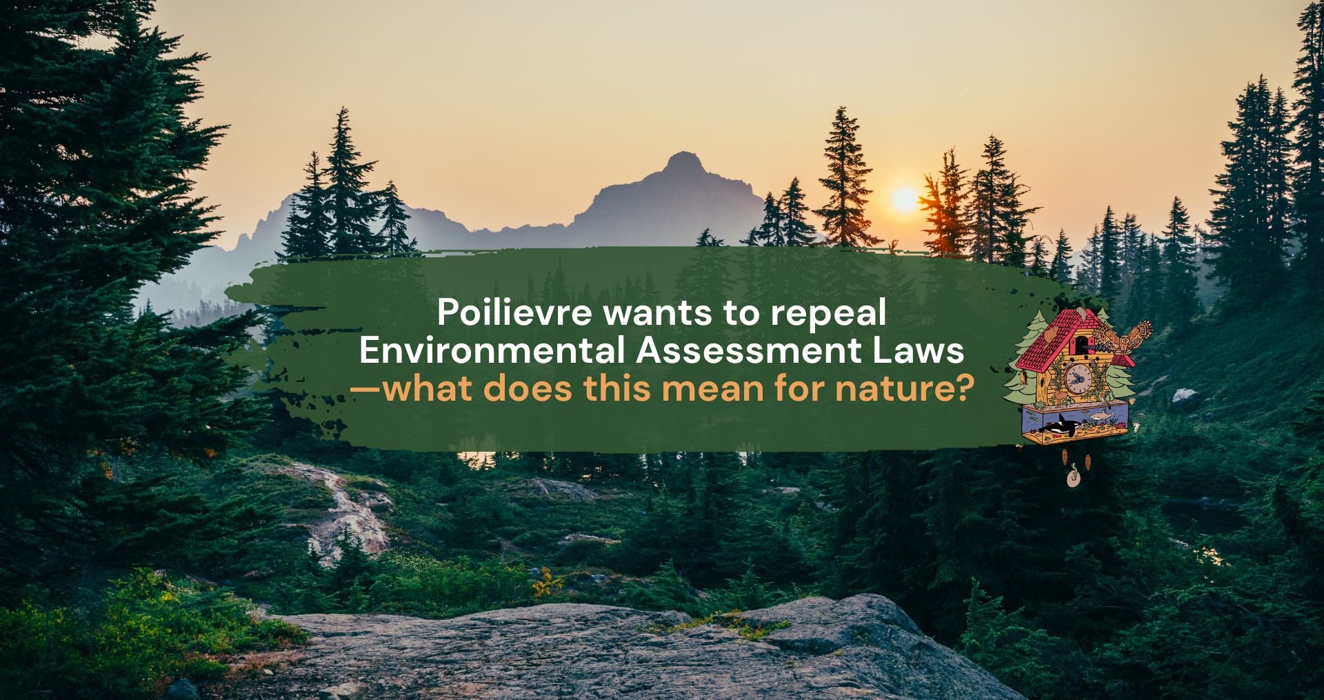 Poilievre needs to repeal Environmental Evaluation Legal guidelines—what does this imply for nature?