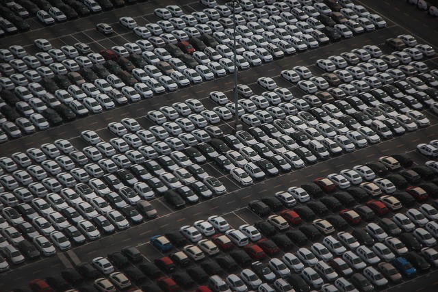 Automotive Public sale Canada: How First-Time Patrons Can Bid Like Execs