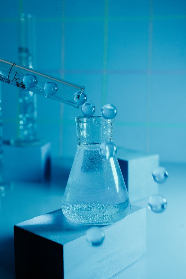 How Are Water Tasks Monitored for Lengthy-Time period Success?
