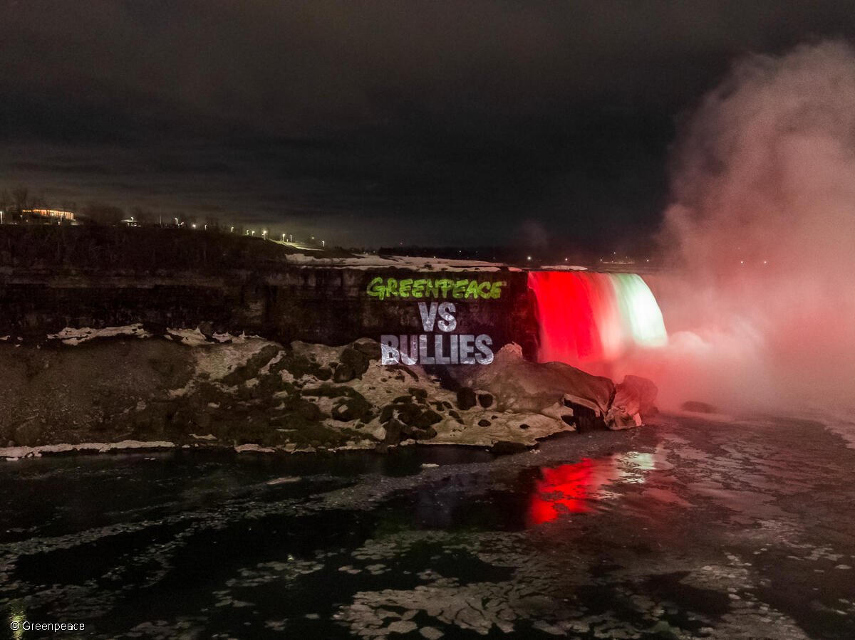Even when a multi-billion greenback firm tries to close down Greenpeace, we won’t again down
