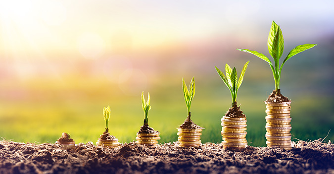 11 Methods to Make Cash Gardening