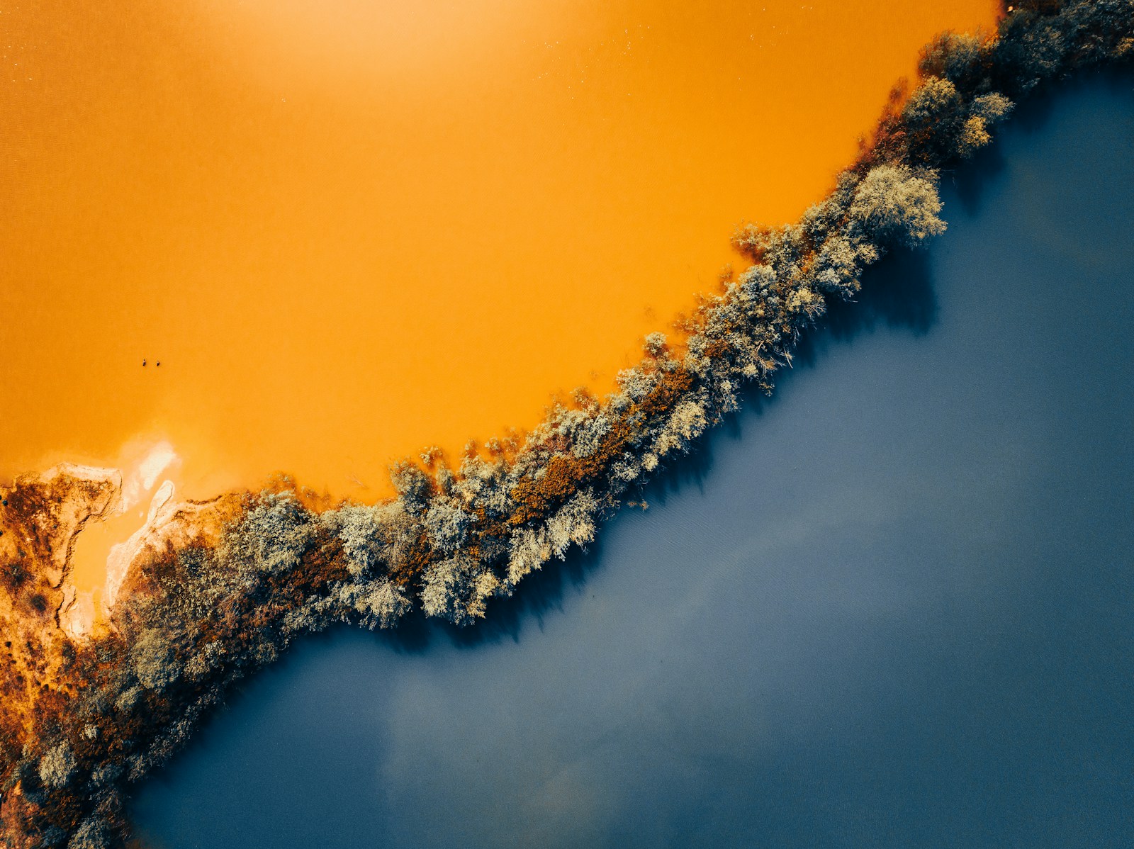 Dialog we have to have on World Setting Day – EnvironmentJournal